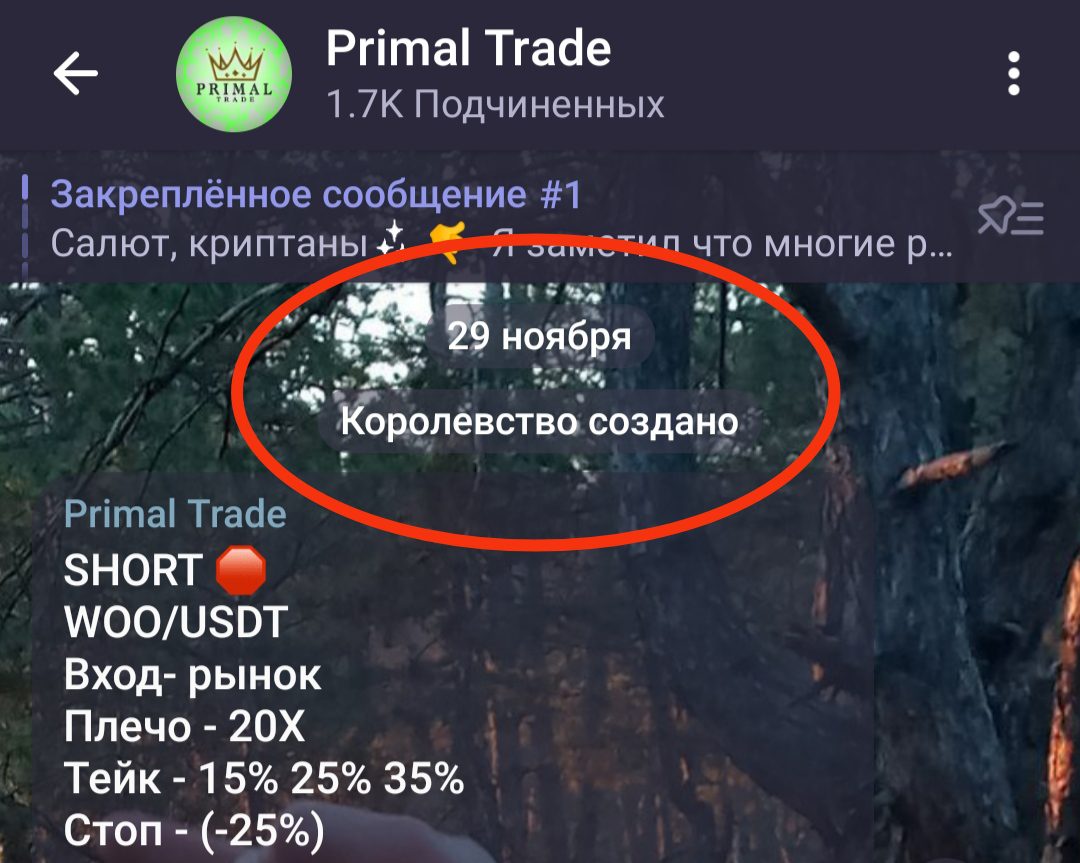 Primal Trade телеграмм