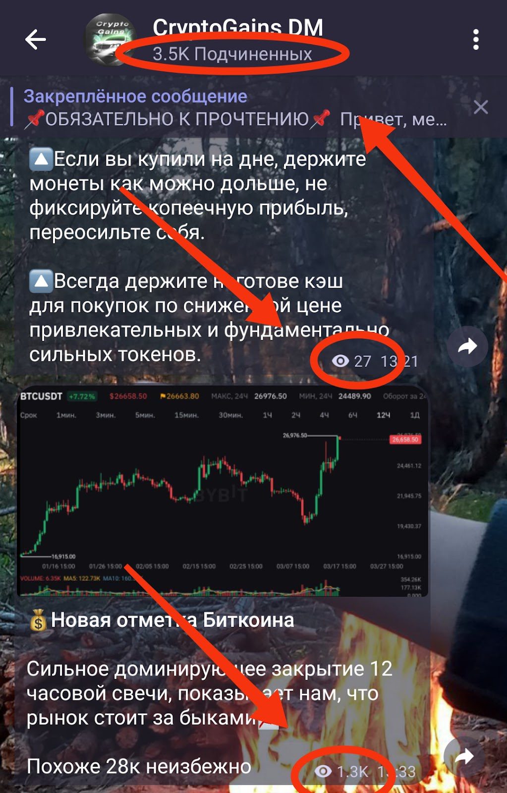 Crypto Gains телеграмм