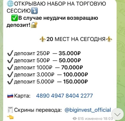 Biginvest official прибыль