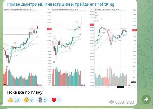 роман дмитриев обзор