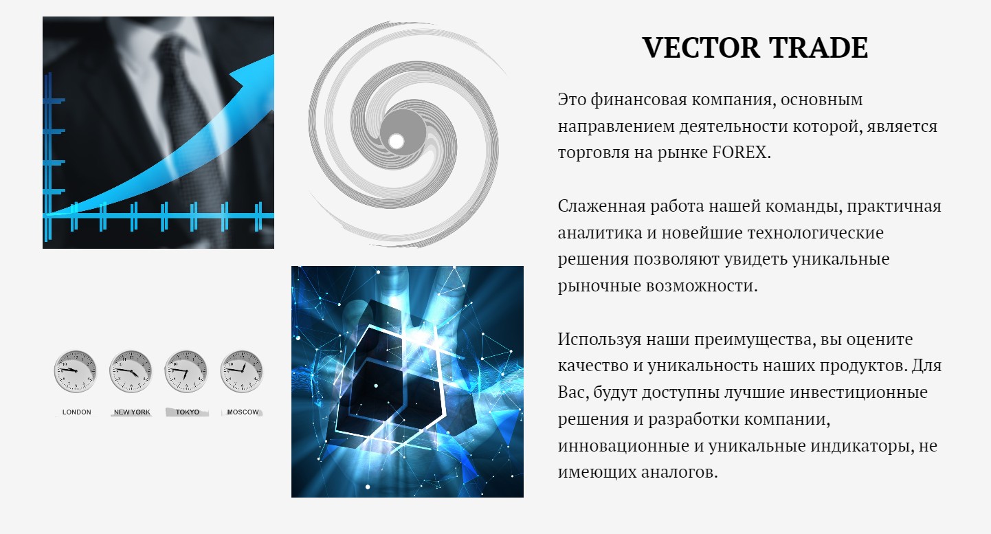 Vector Trade обзор проекта