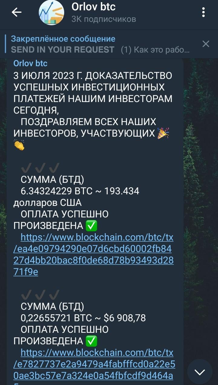 орлов btc инвестор обзор