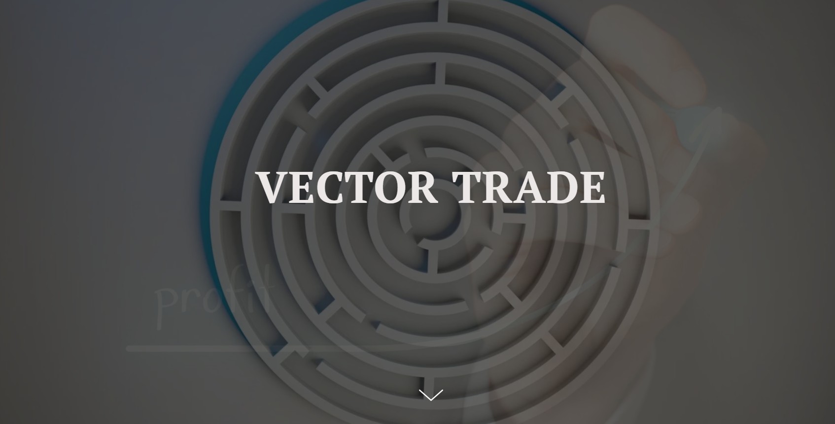 Vector Trade обзор сайта