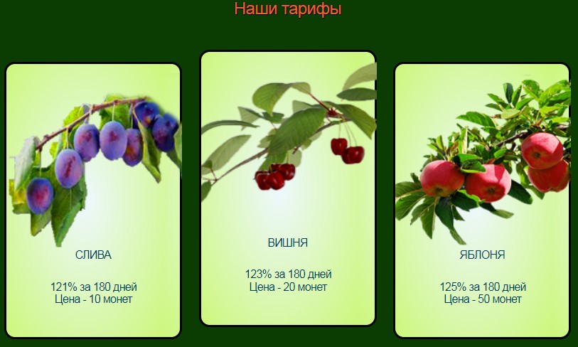 the best fruit farm обзор игры