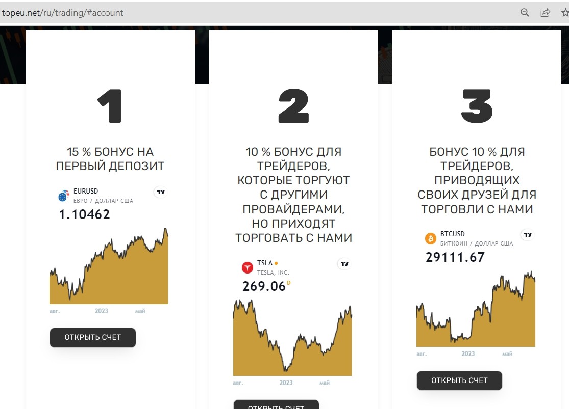 Topeu net обзор сайта