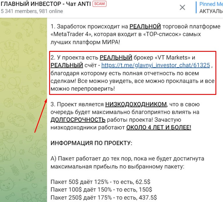 вт маркетс обзор компании