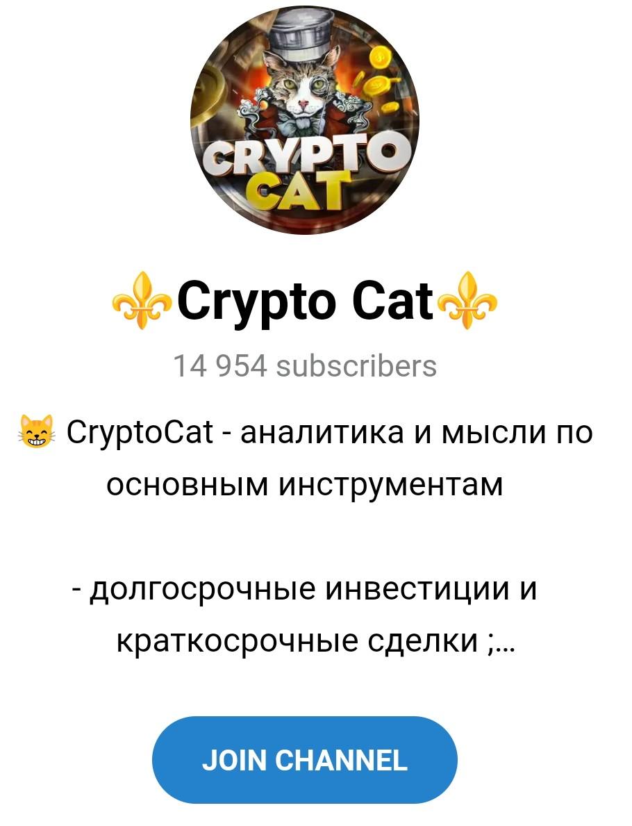 crypto cat канал