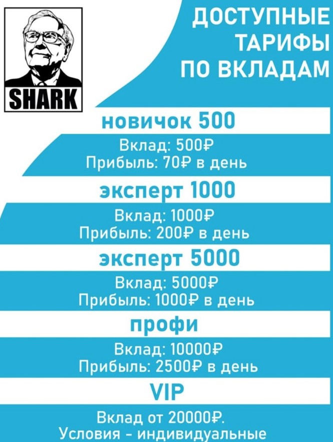 Sharkfond условия проекта