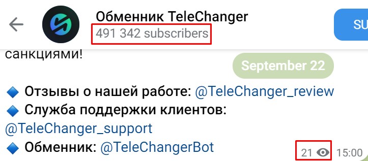 TeleChanger обзор проекта