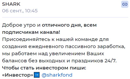 shark инвестиции обзор