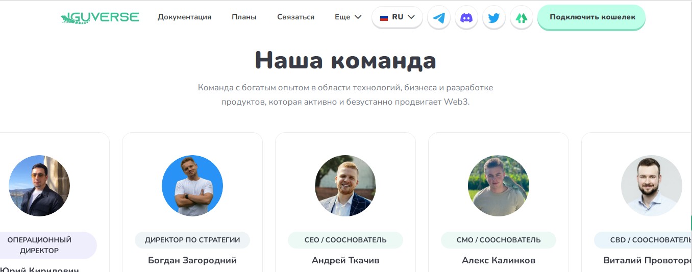 IguVerse обзор компании