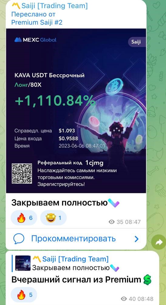 Saiji Trading Team телеграмм