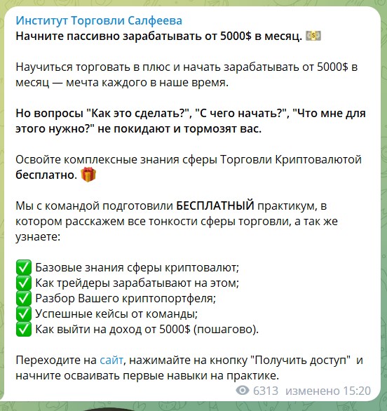 Институт Торговли Салфеева доход