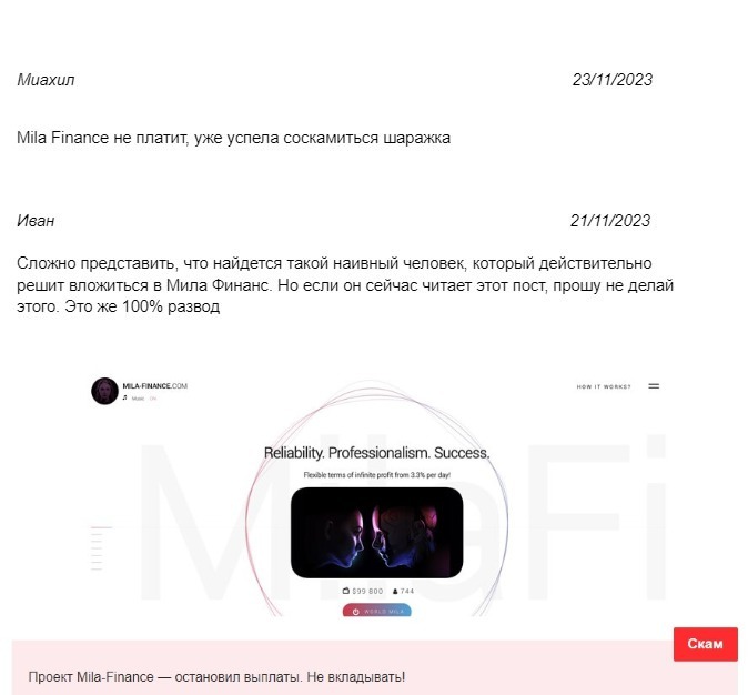 Отзывы о проекте Mila Finance