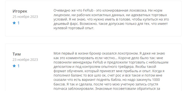 Отзывы о проекте FxFlub