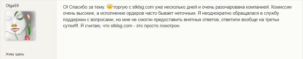 Отзыв о проекте Stklsg