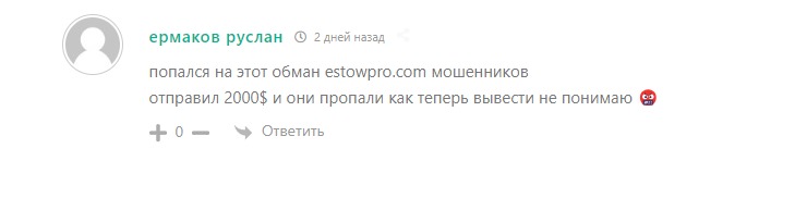 Отзывы о проекте Estow pro