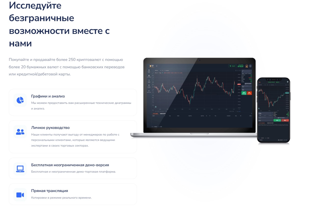 Платформа SintaCorp