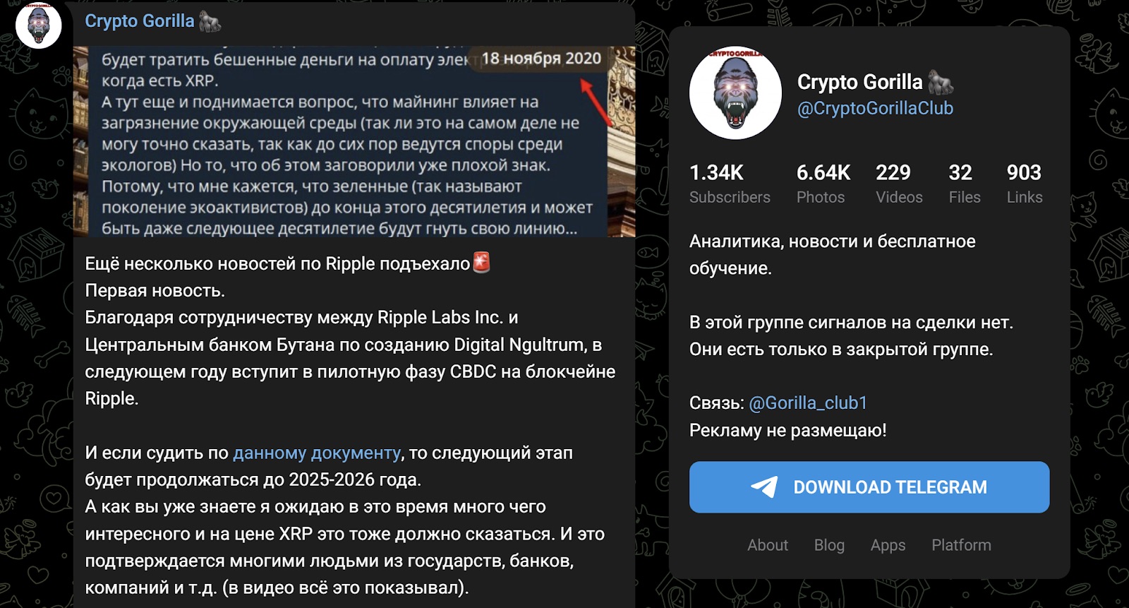 Crypto Gorilla - Телеграм
