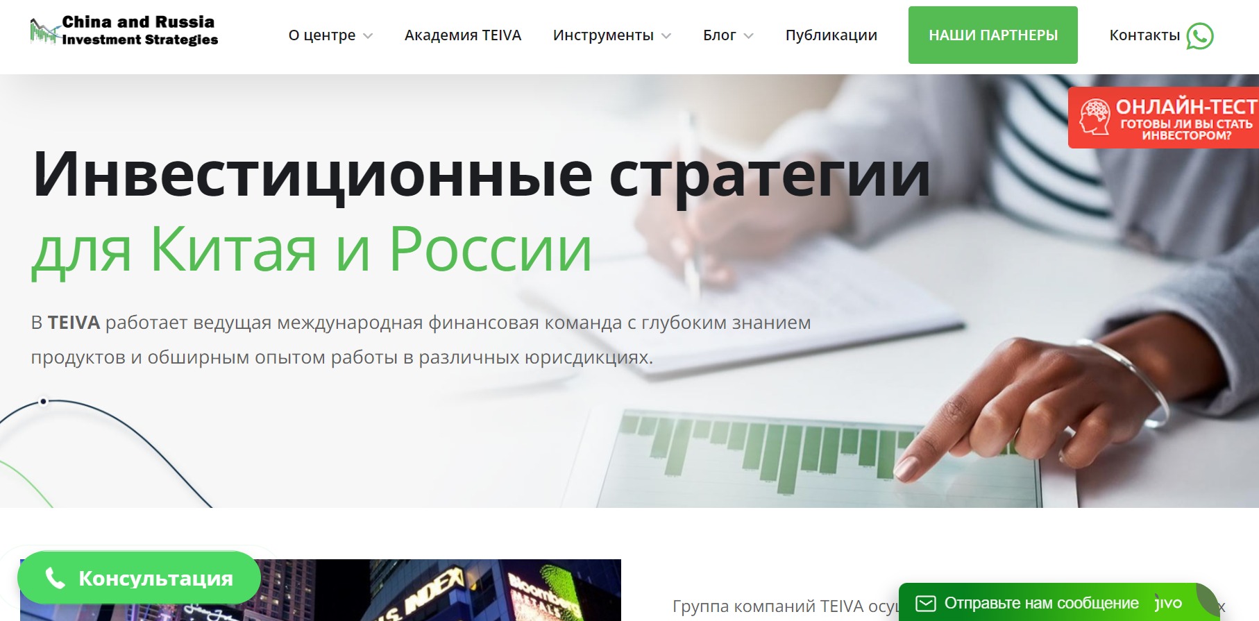 Проект Teiva Expert