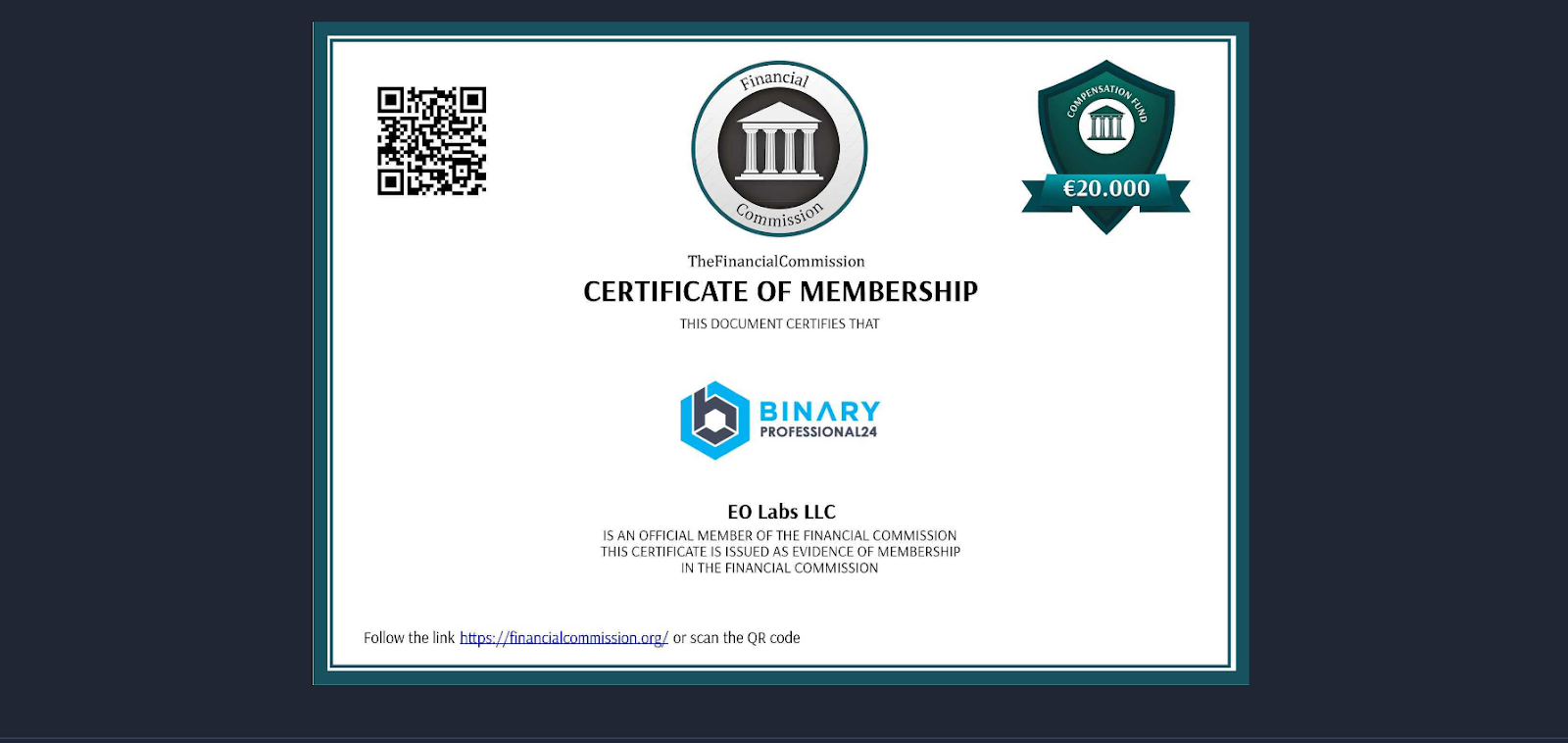 binary professional 24