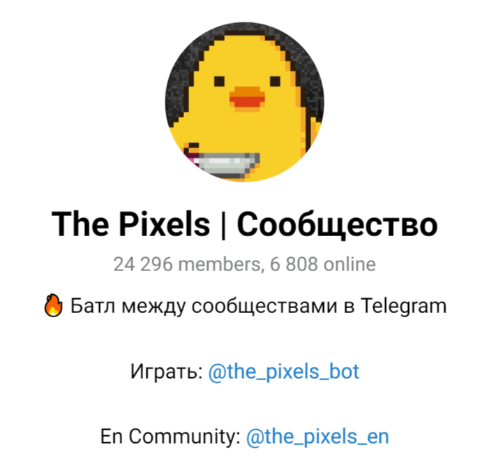 the pixels