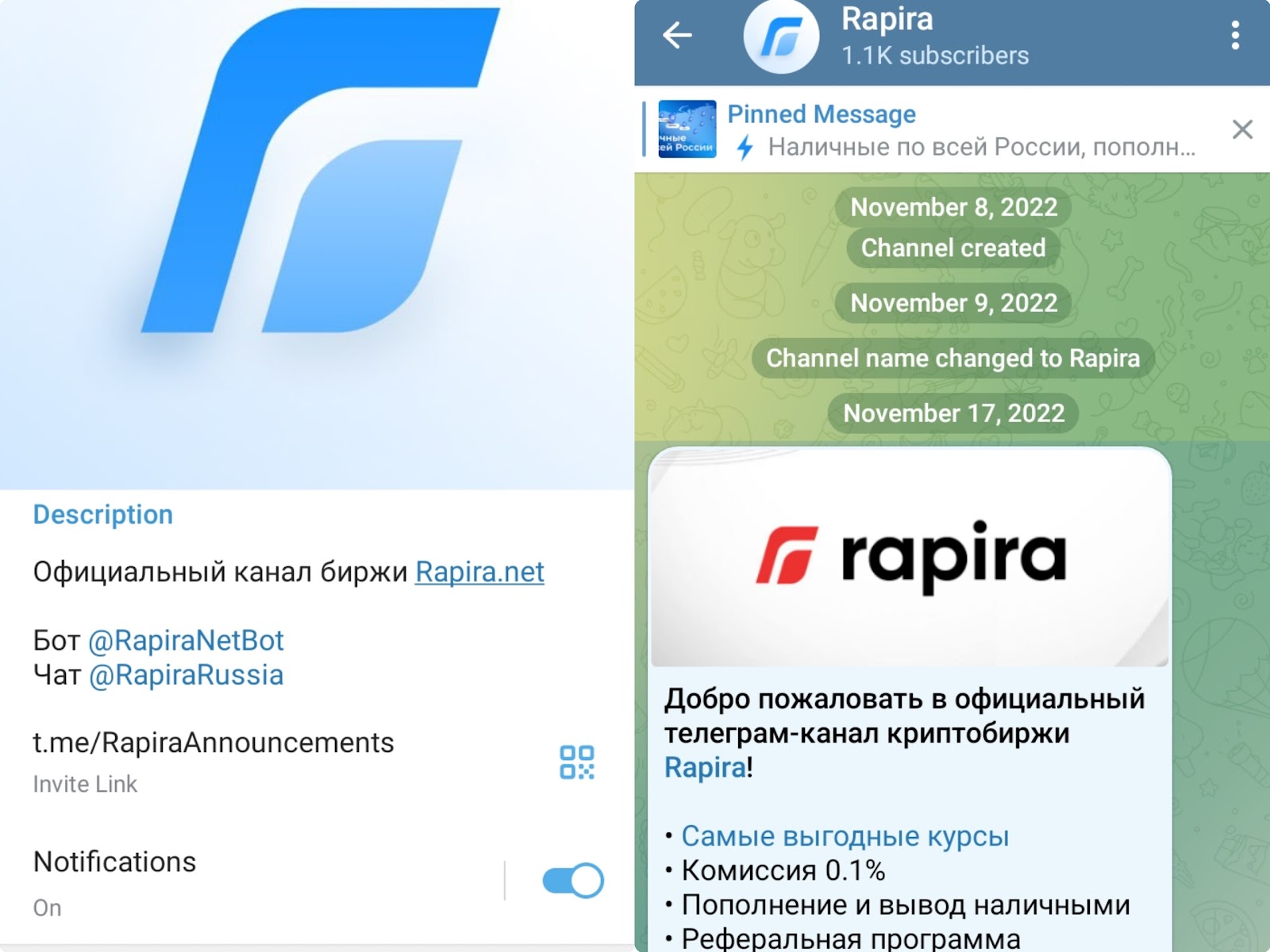 Rapira net отзывы